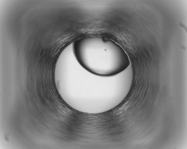 X0000094201300200710260904