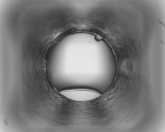 X0000094201301200710260904
