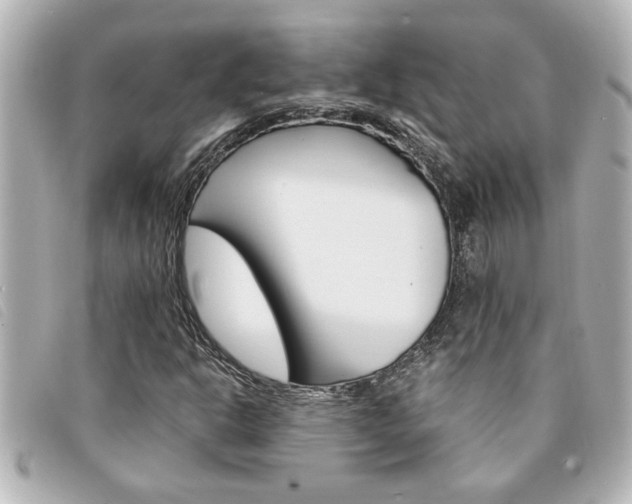 X0000094201302200710260904