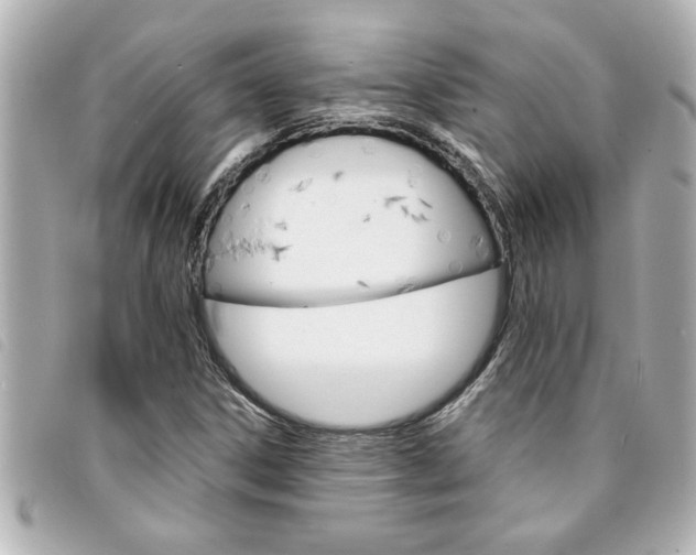 X0000094201306200710260904