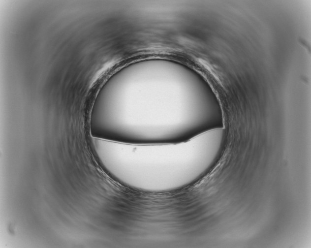 X0000094201307200710260904