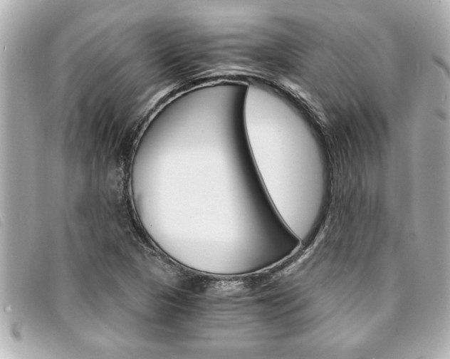 X0000094201313200710260904