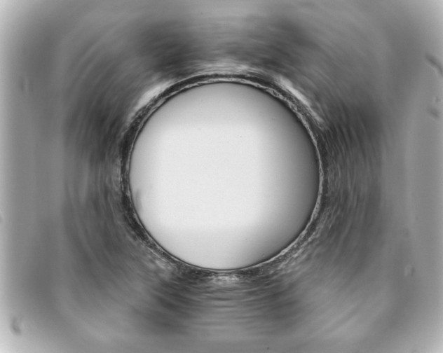 X0000094201315200710260904