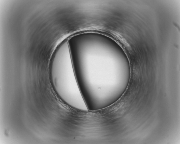 X0000094201316200710260904