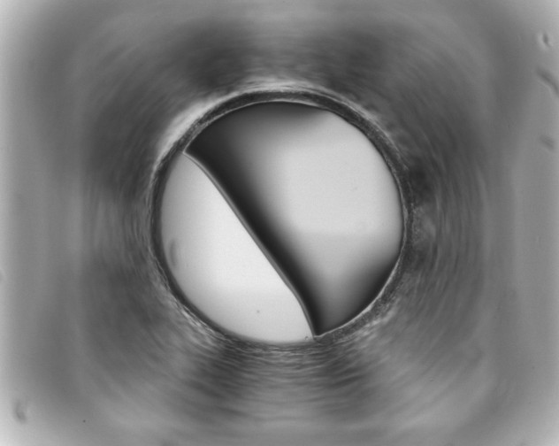 X0000094201319200710260904