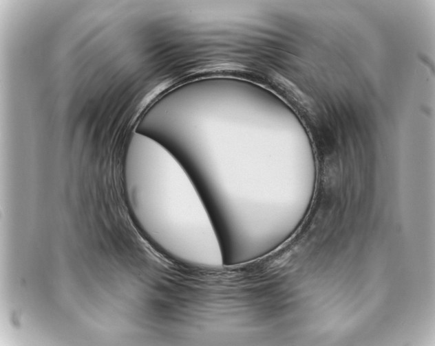 X0000094201321200710260904