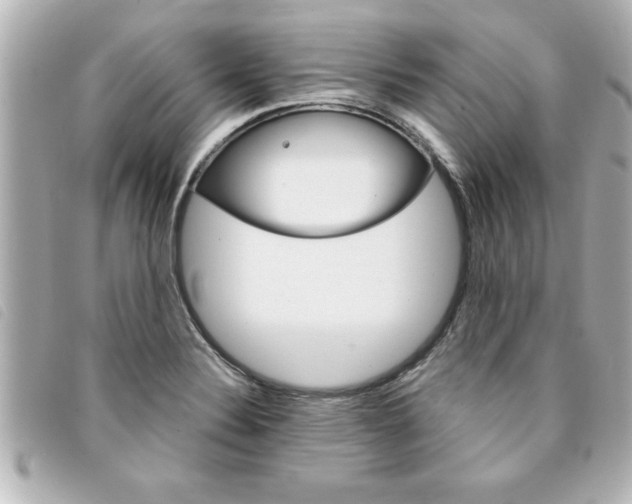 X0000094201324200710260904