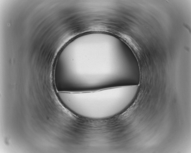 X0000094201331200710260904