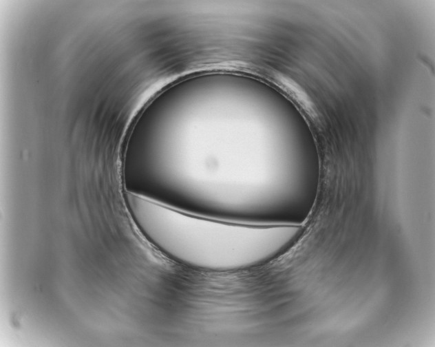 X0000094201332200710260904