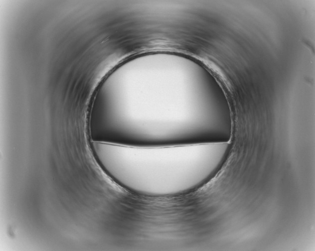 X0000094201333200710260904