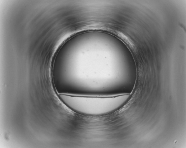 X0000094201334200710260904