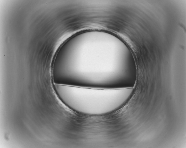 X0000094201335200710260904