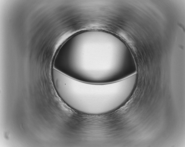 X0000094201336200710260904