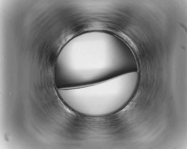 X0000094201337200710260904