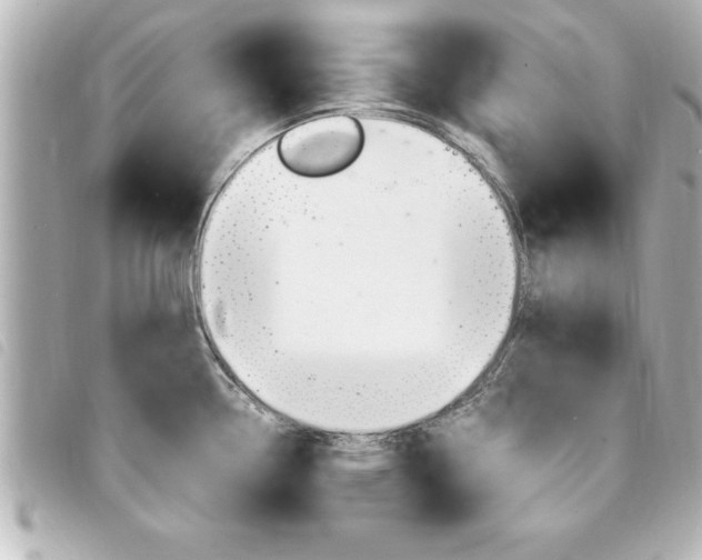 X0000094201338200710260904