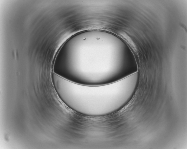 X0000094201340200710260904