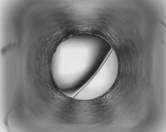 X0000094201345200710260904