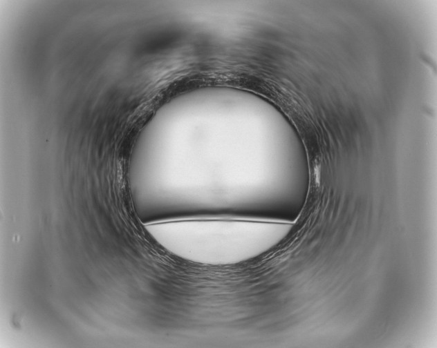 X0000094201347200710260904