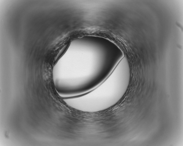 X0000094201349200710260904