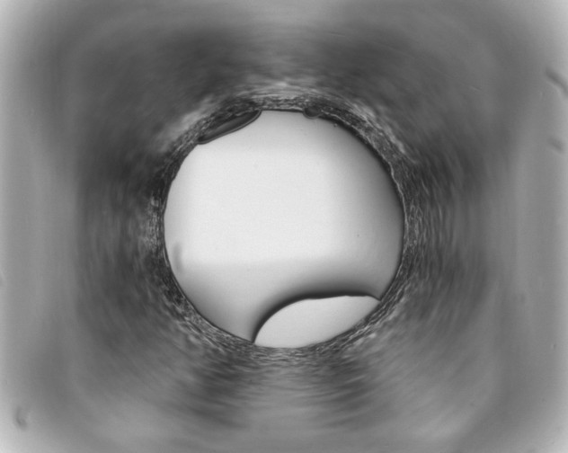 X0000094201350200710260904