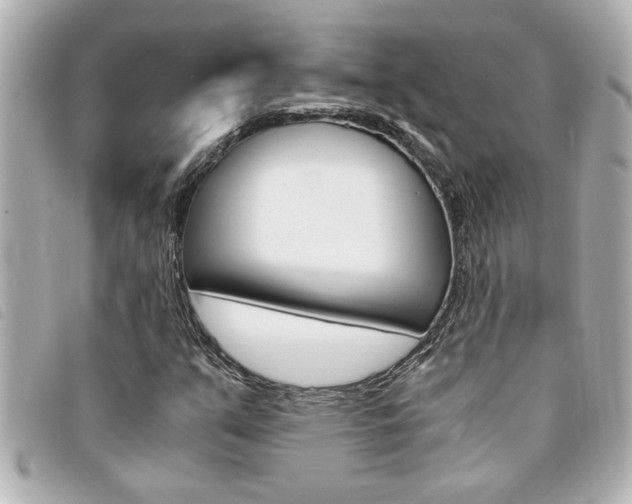 X0000094201351200710260904