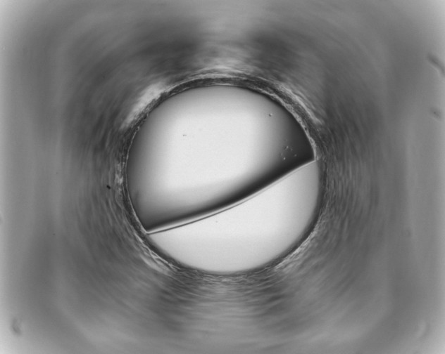X0000094201355200710260904