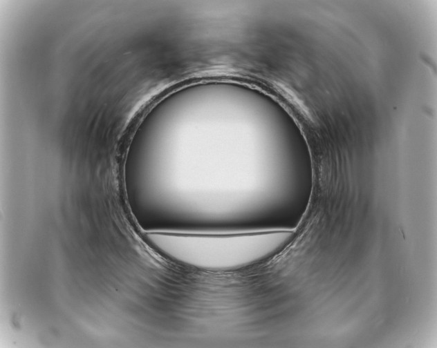 X0000094201356200710260904