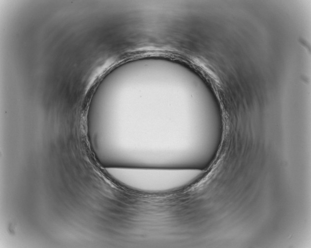 X0000094201357200710260903