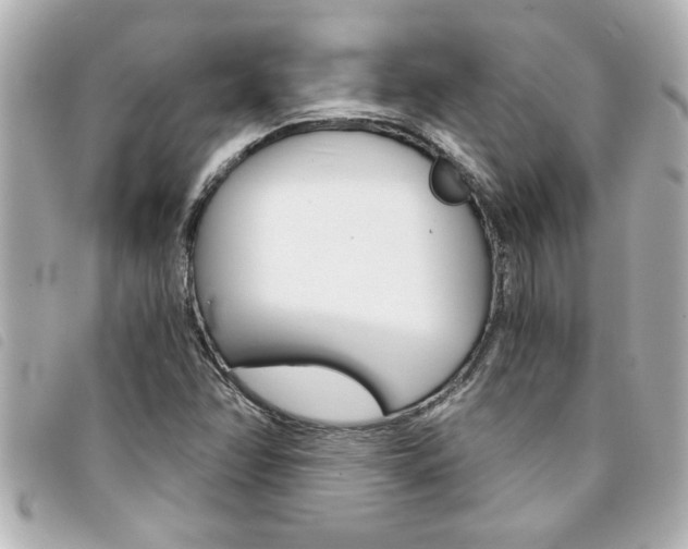 X0000094201358200710260903