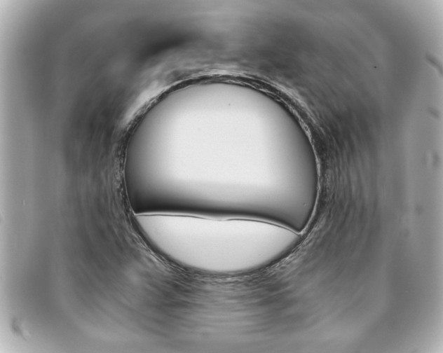 X0000094201359200710260903