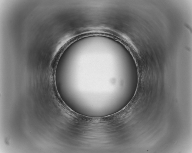 X0000094201360200710260903