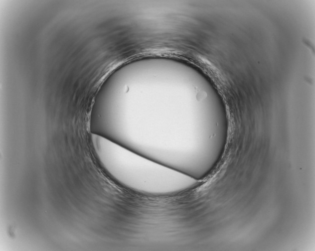 X0000094201361200710260903