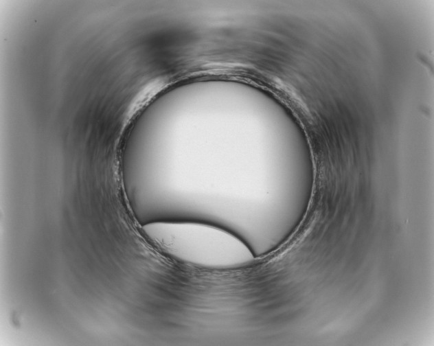 X0000094201362200710260903