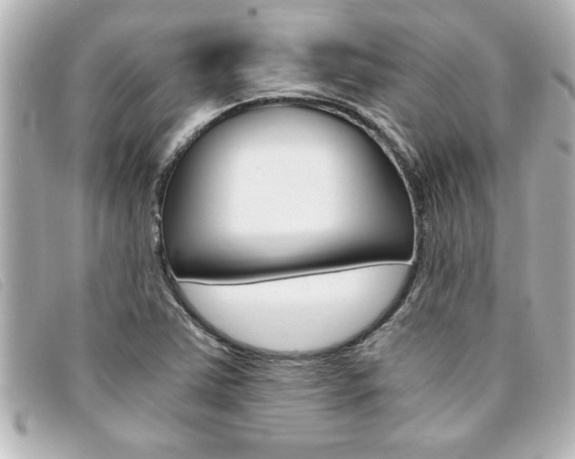 X0000094201363200710260903