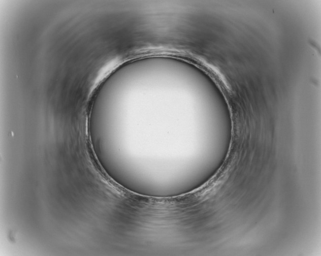 X0000094201365200710260903