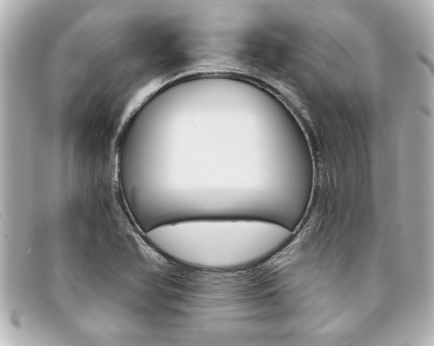 X0000094201366200710260903