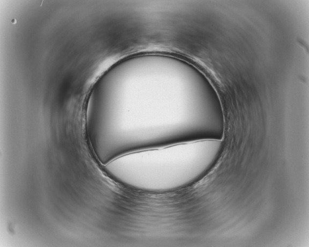 X0000094201367200710260903