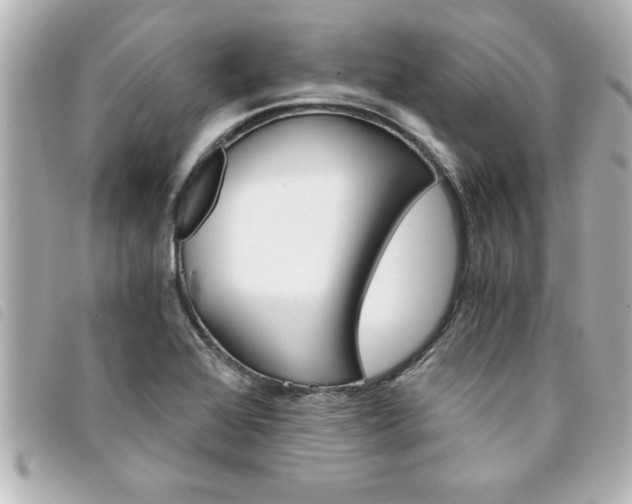 X0000094201368200710260903