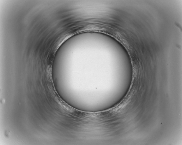 X0000094201369200710260903