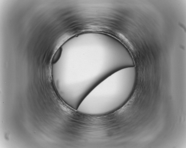 X0000094201370200710260903