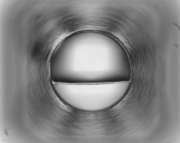X0000094201371200710260903