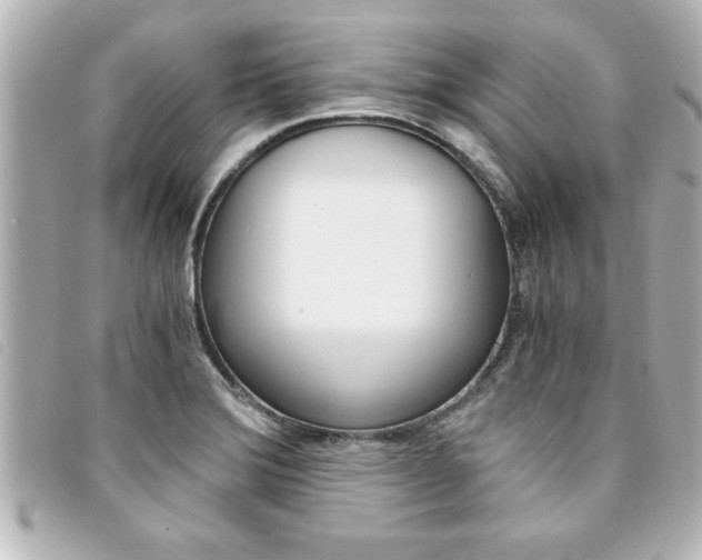 X0000094201372200710260903