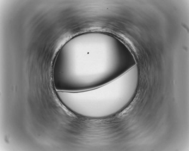 X0000094201373200710260903