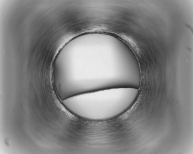 X0000094201374200710260903