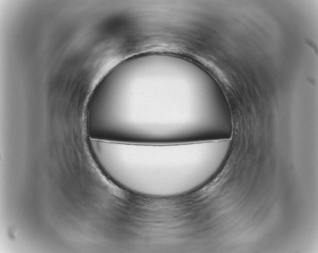 X0000094201375200710260903
