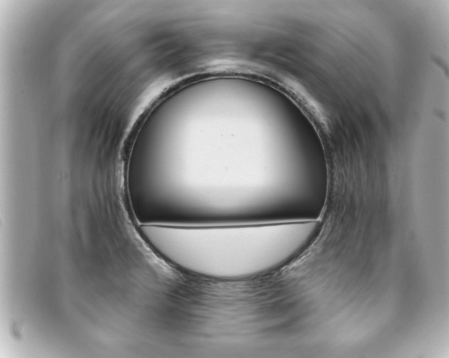 X0000094201376200710260903