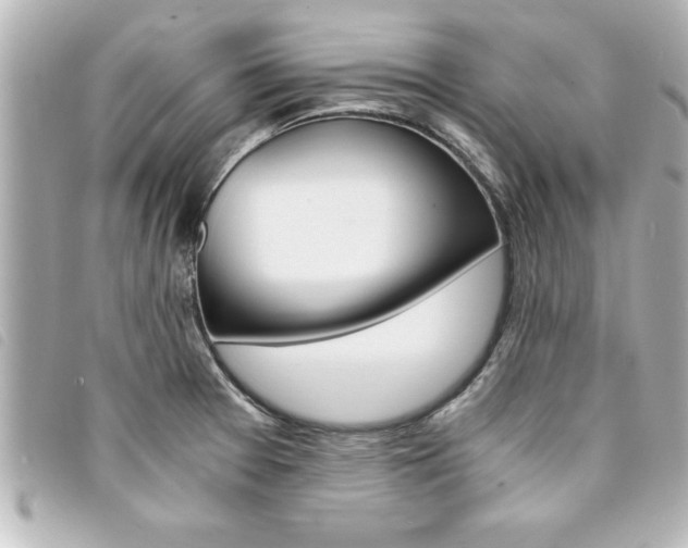 X0000094201377200710260903