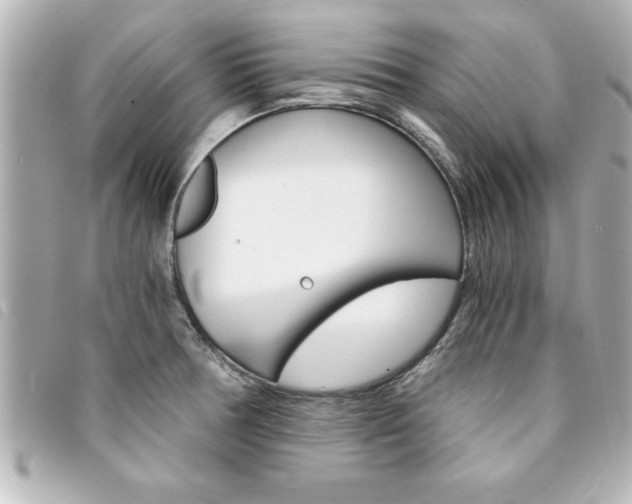 X0000094201378200710260903