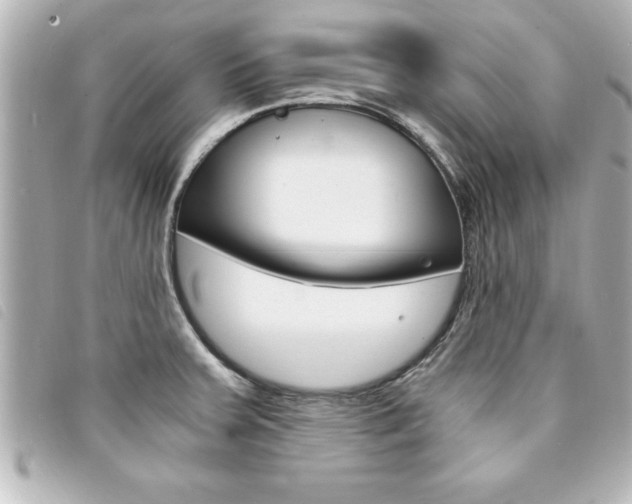 X0000094201379200710260903