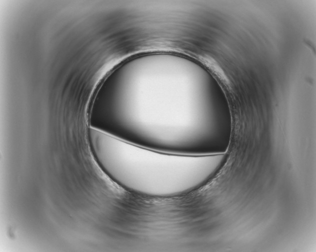 X0000094201380200710260903